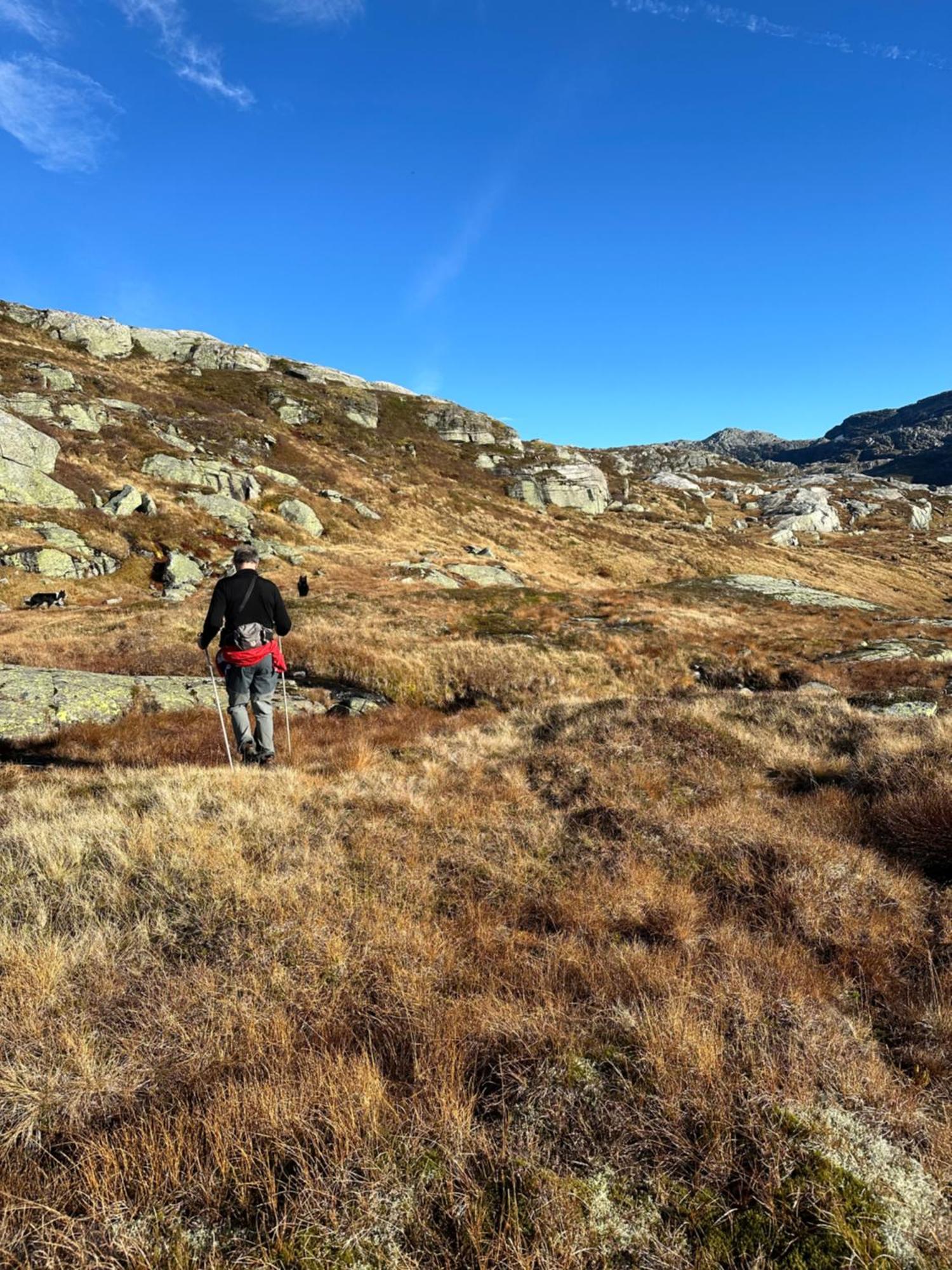 Fjæra Akrafjorden Nature B&B As المظهر الخارجي الصورة