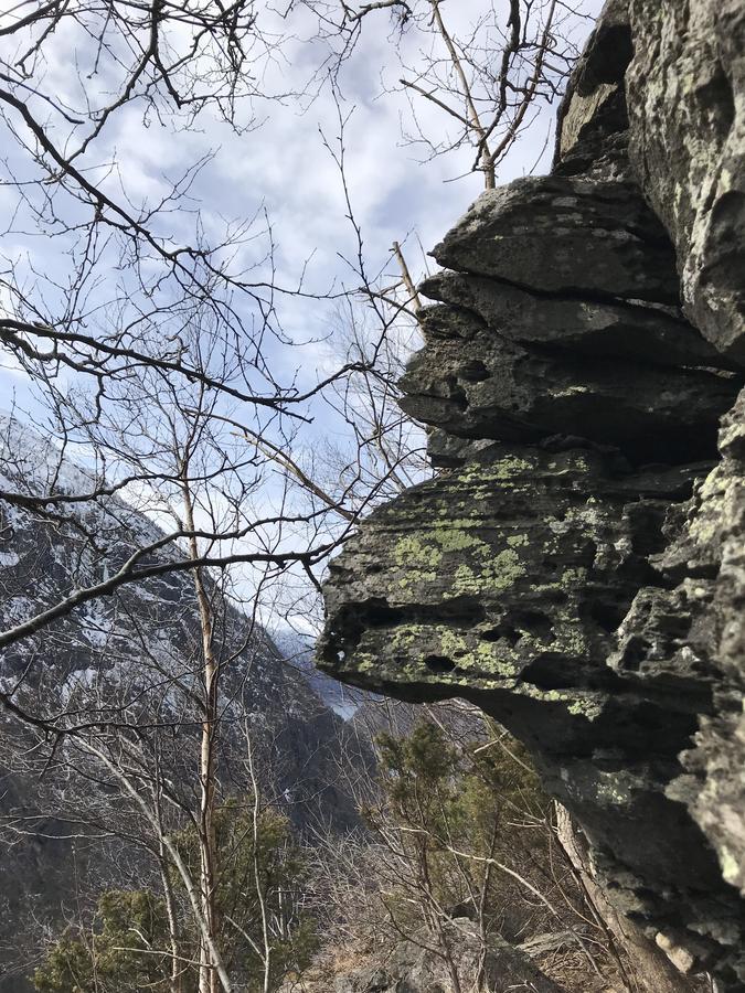 Fjæra Akrafjorden Nature B&B As المظهر الخارجي الصورة